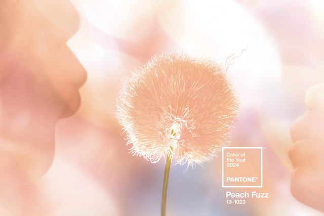 Benne van minden, amire idén vágytunk: Peach Fuzz