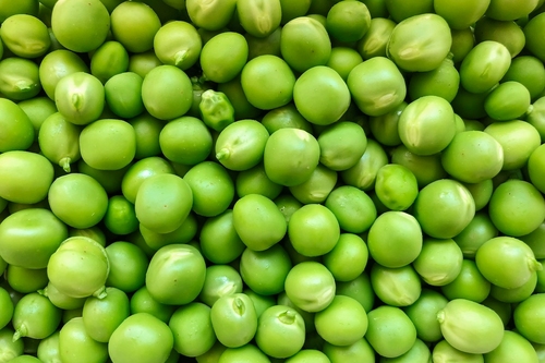 100 éves évfordulójára megújult az egyik legismertebb hazai márka