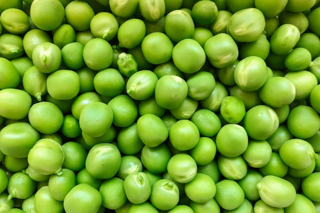 100 éves évfordulójára megújult az egyik legismertebb hazai márka