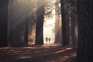 Az UNESCO is elismerte Magyarország természeti kincsét