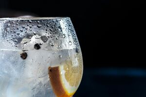 Malária elleni védekezésből globális kultusz: a gin tonik története