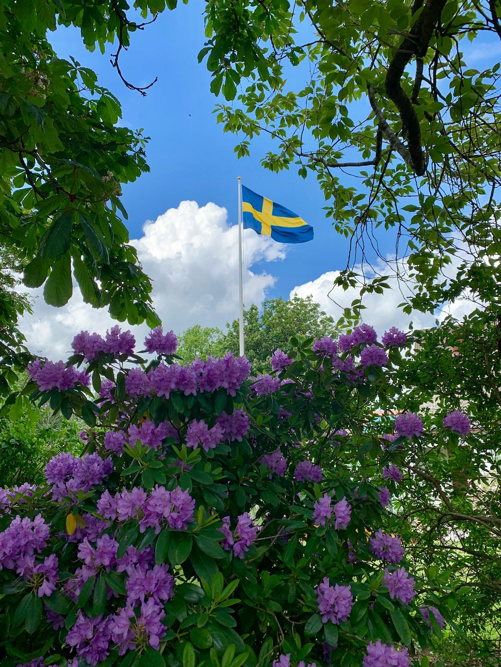 Svédország Midsommar