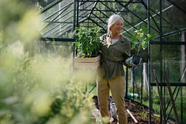 A legkisebb balkonládák is fontos eszközei a klímaváltozás elleni harcnak