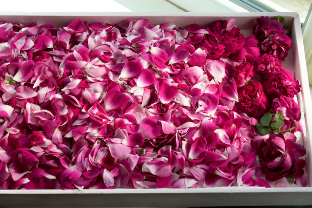 Damaszkuszi rózsaolaj, a bőr aranya