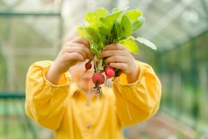 Vegán gyerekkor: áldás vagy kockázat?
