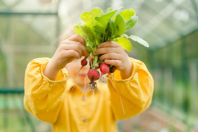 Vegán gyerekkor: áldás vagy kockázat?