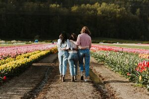 Mi fontosabb a tehetségnél vagy a diplománál?