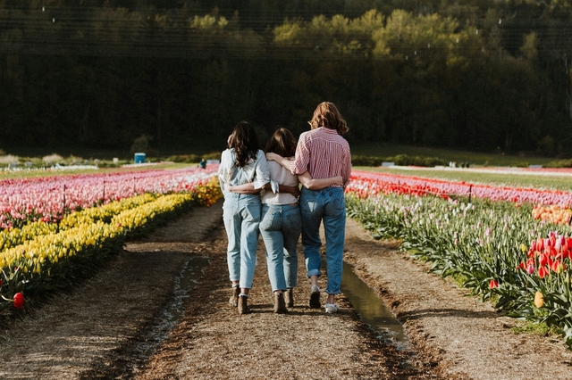 Mi fontosabb a tehetségnél vagy a diplománál?