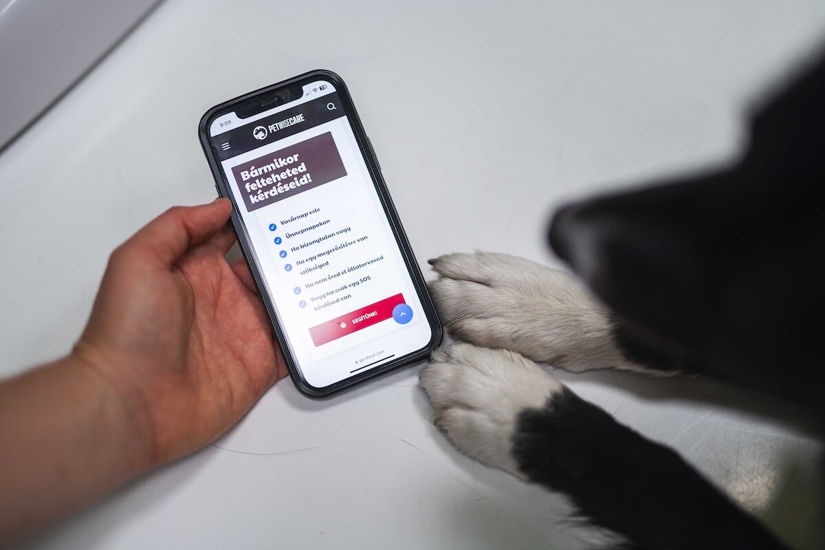 PetWiseCare, állatorvosi ügyelet, éjszakai állatorvos, állatbarát applikáció, felelős állattartás, állatorvosi tanácsadás, kisállat egészség, oltási emlékeztető, sürgősségi állatorvos, állategészségügyi app