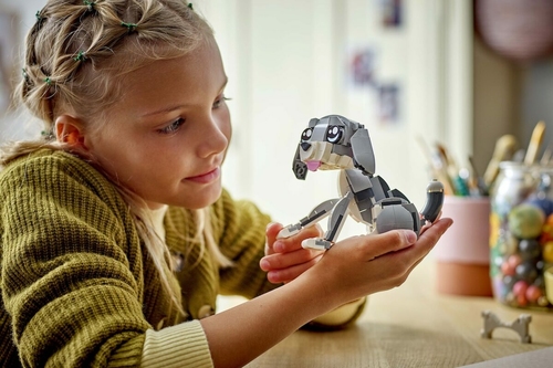 A lányok jobban megbíznak a kisállatukban mint tanárukban a LEGO Csoport nemzetközi kutatása szerint