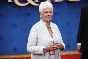 Fokozatosan elveszíti a látását Judi Dench: már olvasni sem tud a világhírű színésznő